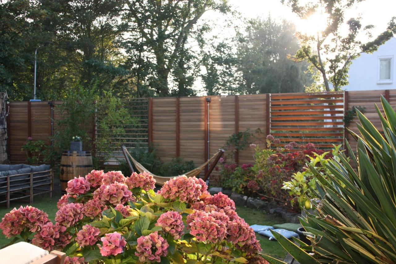 Maison Bellefleur B&B - Pension Renesse Exterior photo